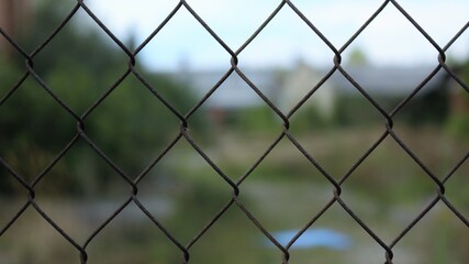 Fototapeta premium The wire fence