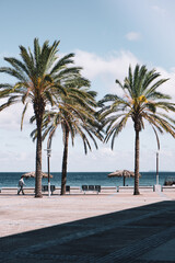 BEACH WITH PALMS AND CARIBBEAN ISLANDS