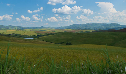 Obraz premium Tuscan landscape near Volterra