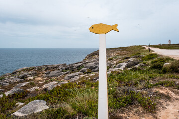 Landscape of the green grass and the blue sky and ocean with a sign of a fish near the sea. Coastline with a northern vibe in the Iberian Peninsula.