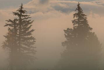 Foggy Sunrise Landscape in the Tetons in Autumn