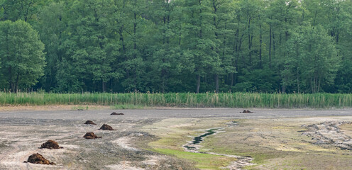 Staw hodowlany beż wody osuszony © Paweł Kacperek