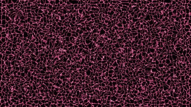 Abstract moving texture of red microorganisms