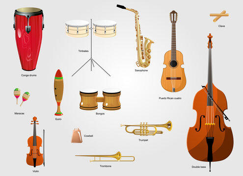 Typical instruments of salsa music. The salsa music instruments. The latin music instruments.