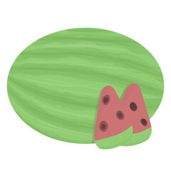 Watermelon illustration,various summer fruits.