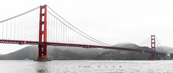 Color Black and White Golden Gate Bridge with Birds