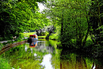 The peace and tranquillity on the tree flanked  High Peak Canal with a Barge  in the distance U..k.