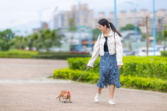 Woman with her dachshund dog walking in the park