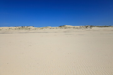 Blick über den Sandstrand auf eine Düne der Insel Borkum