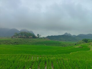 Mountains of Vietnam