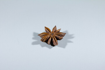 Selective blur on an star anise isolated on a white grey background, a single one, alone. Anise, or aniseed, is a spice, the flowering plant of Apiaceae.