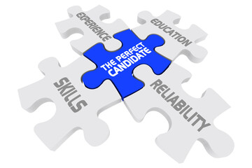 The Perfect Candidate Puzzle Pieces Skills Experience Education 3d Illustration
