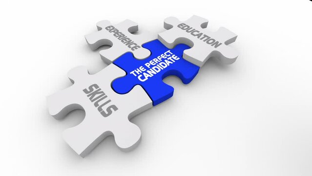 The Perfect Candidate Puzzle Pieces Skills Experience Education 3d Animation