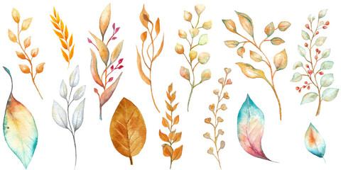 Set of White, Orange and Turquoise Watercolor Leaves Isolated on Transparent Background, Hand-painted Boho Leaves Collection, Floral Set, Autumn Leaves, Wedding Decoration  © BlackAneri