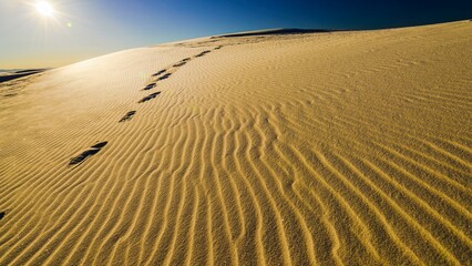 Golden Waves: 4K Background of Rippled Sand Dunes at Sunrise, Offering a Captivating Visual Experience of the Desert's Serene Beauty