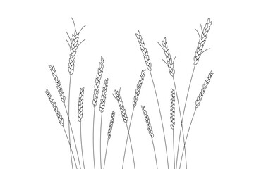 Vector linear field with ears. Wheat field. Wheat of different heights