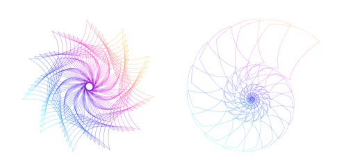 Velours gordijnen Abstract spiral rainbow design element on white background of twist lines. Vector Illustration eps 10 Golden ratio traditional proportions vector icon Fibonacci spiral. for elegant business card © Yuriy Bogdanov