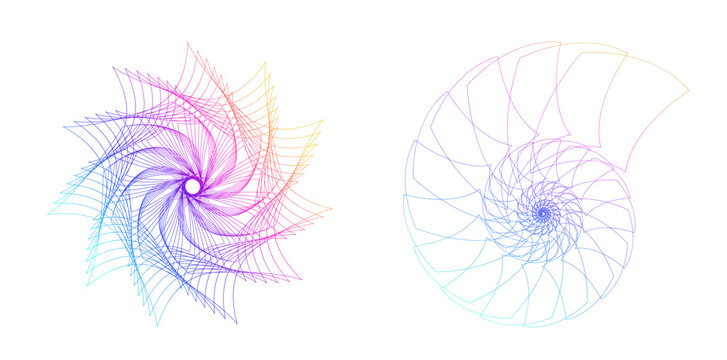 Abstract spiral rainbow design element on white background of twist lines. Vector Illustration eps 10 Golden ratio traditional proportions vector icon Fibonacci spiral. for elegant business card