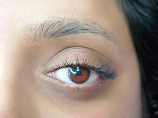 Fototapeta na wymiar close up of eyelash extensions in beauty salon macro eye.