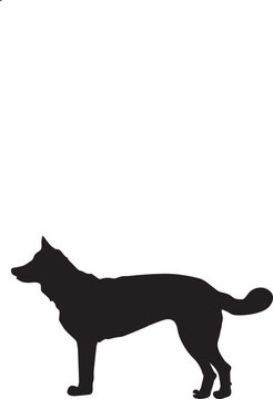 black dog silhouette image
