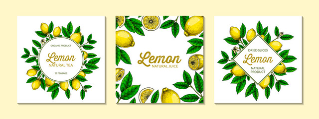 Square lemon background. Hand drawn colorful vector illustration in sketch stile. Design for packaging, logo, invitation, greeting cards