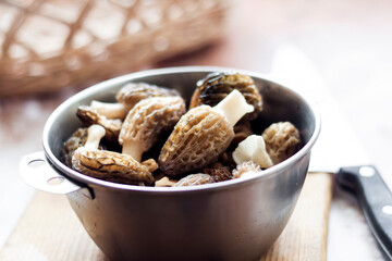 Spring Morel mushrooms in a metal bowl.