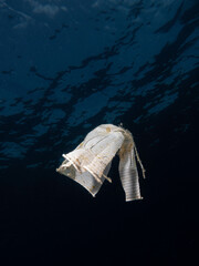 Vaso de plástico flotando en el mar Mediterráneo, basura en el mar, basuraleza