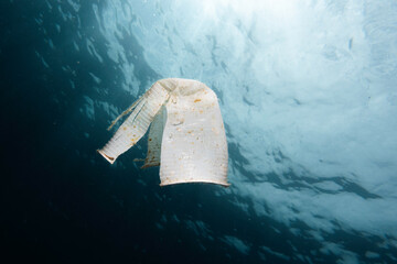 Vaso de plástico en descomposición, flotando en el mar mediterráneo. Mar de plástico basuraleza