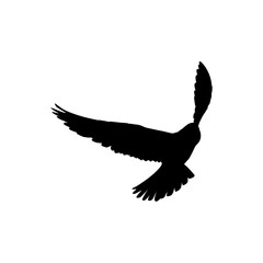 Silhouette of the Flying Bird of Prey, Falcon or Hawk, for Logo, Pictogram, Website, Art Illustration, or Graphic Design Element. Vector Illustration 
