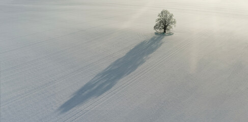traces on snow