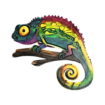 Chameleon Watercolor Illustration