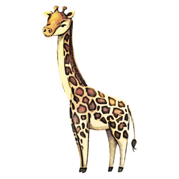 Giraffe Watercolor Illustration