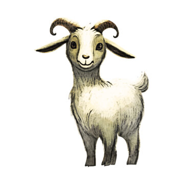 Goat Watercolor Illustration