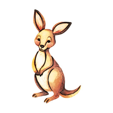 Kangaroo Watercolor Illustration
