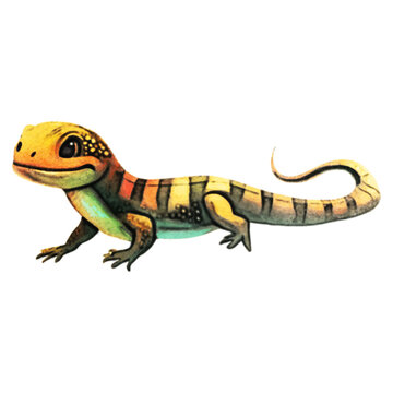 Lizard Watercolor Illustration