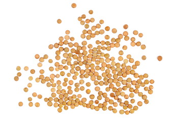 Pile lentils isolated on white, top view