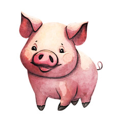 Pig Watercolor Illustration