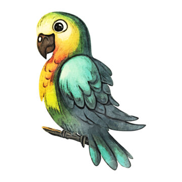 Parrot Watercolor Illustration