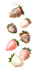 Flying, falling Sweet strawberries in glaze dipped in white and milk  chocolate. Hand drawn watercolor illustration, isolated on white background