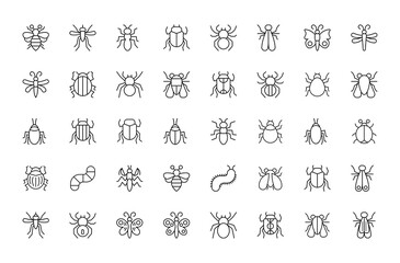 Fototapeta na wymiar Set of 40 simple insect line icons. Linear vector signs pack. Perfect for web apps and mobile. 