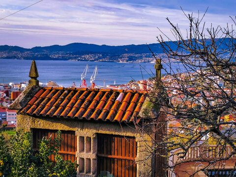 Piorno de galicia en la r&iacute;a de vigo.