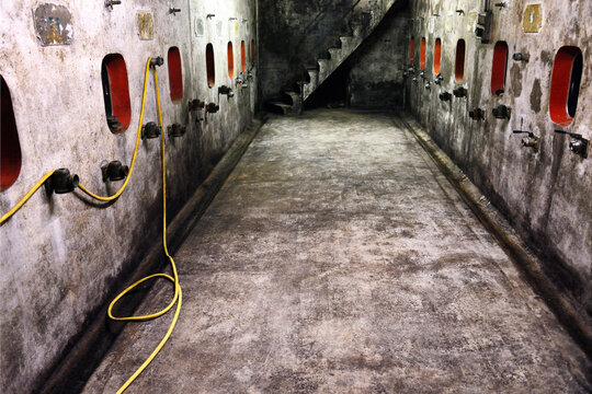 Chénas, Beaujolais region, Rhône department, Rhône-Alpes, France, Europe - wine cellar with concrete fermentation containers, Chénas is also name of appellation of red wines