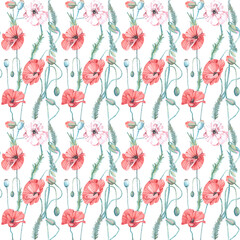 Fototapeta na wymiar Seamless pattern of watercolor illustrations of pink-red poppy on a white backgroundIsolated. Handmade work.