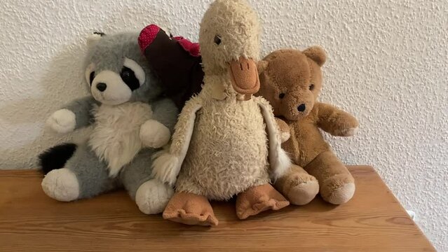 Abandoned kids toy, stuffed animals, raccoon bear duck