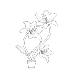 Lily Flower Coloring page Hand Drawn illustration With Line Art