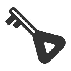 key icon vector.