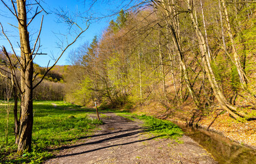 Bedkowska Valley nature park and reserve along Bedkowka creek in spring season within Jura Krakowsko-Czestochowska Jurassic upland near Cracow in Lesser Poland