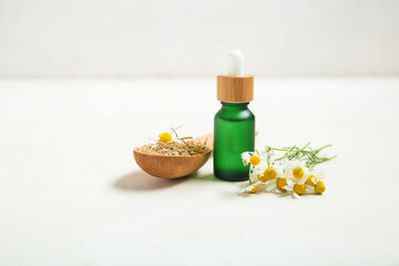 Bottle of essential oil, fresh and dried chamomile flowers on light background