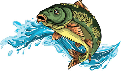 vector illustration of carp with splashing water - 608810283