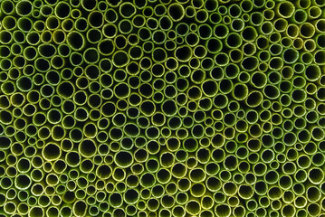 Front view pile of cross section green grass stems